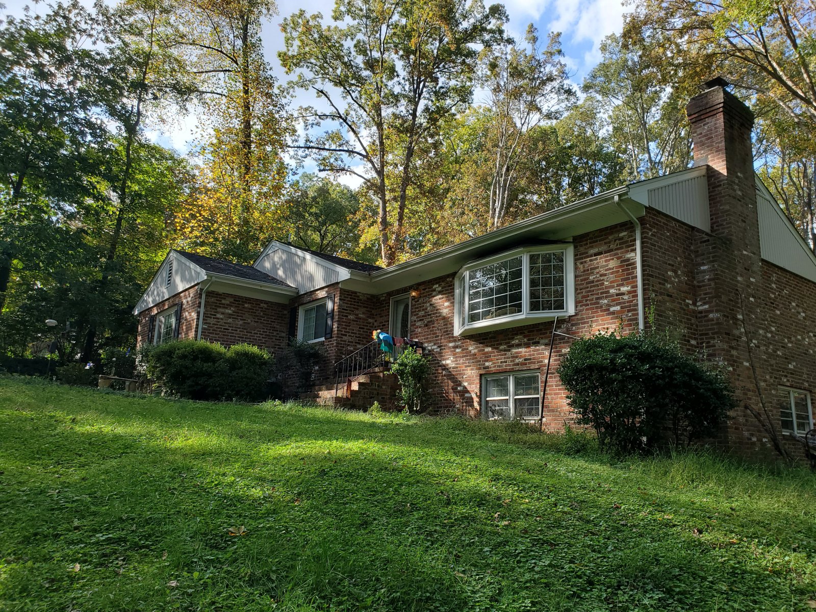 Before : Before/After : Richmond VA Landscape Designer: Gardens by Monit, LLC: Monit Rosendale landscape designer Richmond and Charlottesville Virginia and Fredericksburg Virginia and Williamsburg Virginia