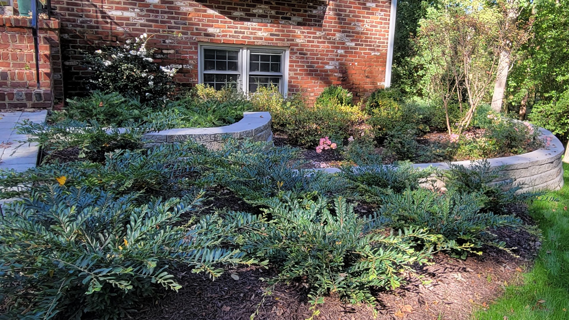  : Pavers & Stone : Richmond VA Landscape Designer: Gardens by Monit, LLC: Monit Rosendale landscape designer Richmond and Charlottesville Virginia and Fredericksburg Virginia and Williamsburg Virginia