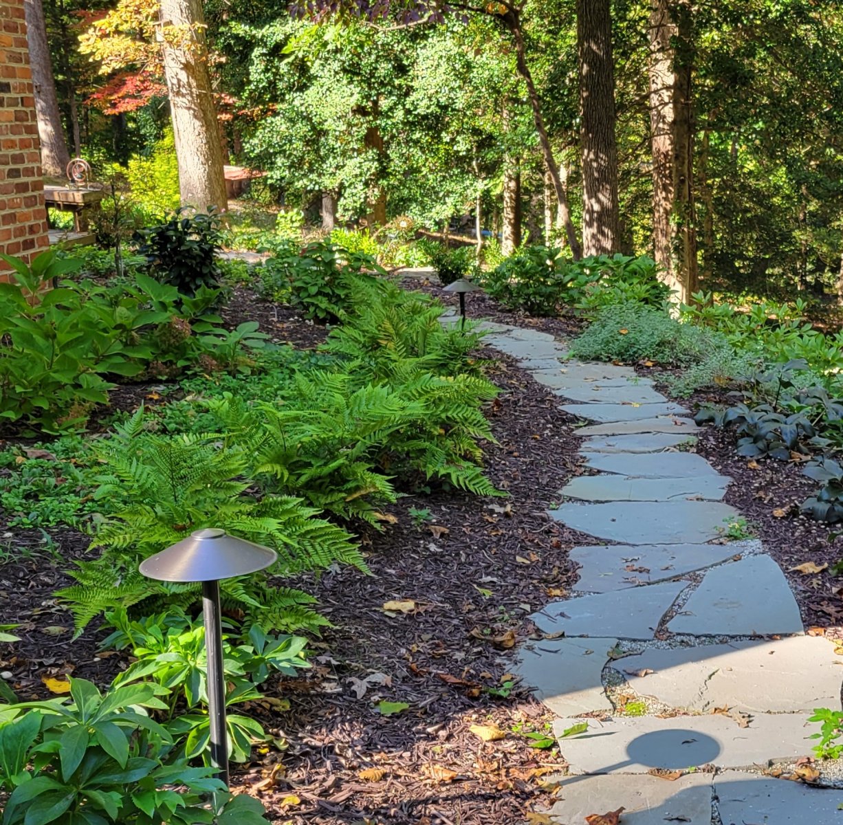 Dry laid Variegated Bluestone walk : Pavers & Stone : Richmond VA Landscape Designer: Gardens by Monit, LLC: Monit Rosendale landscape designer Richmond and Charlottesville Virginia and Fredericksburg Virginia and Williamsburg Virginia