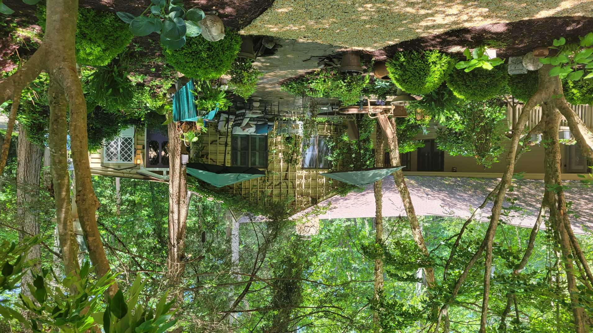  : Foundations : Richmond VA Landscape Designer: Gardens by Monit, LLC: Monit Rosendale landscape designer Richmond and Charlottesville Virginia and Fredericksburg Virginia and Williamsburg Virginia