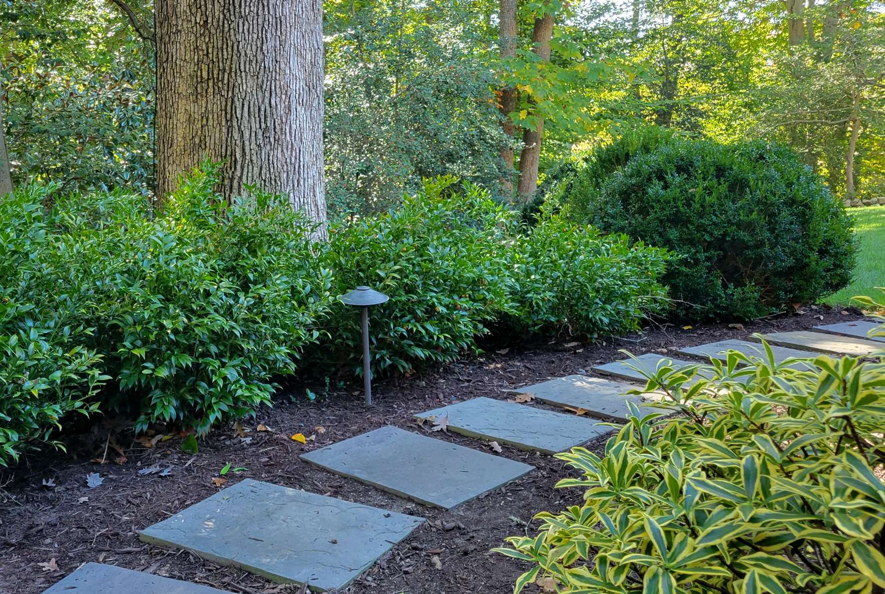  : Autumn : Richmond VA Landscape Designer: Gardens by Monit, LLC: Monit Rosendale landscape designer Richmond and Charlottesville Virginia and Fredericksburg Virginia and Williamsburg Virginia