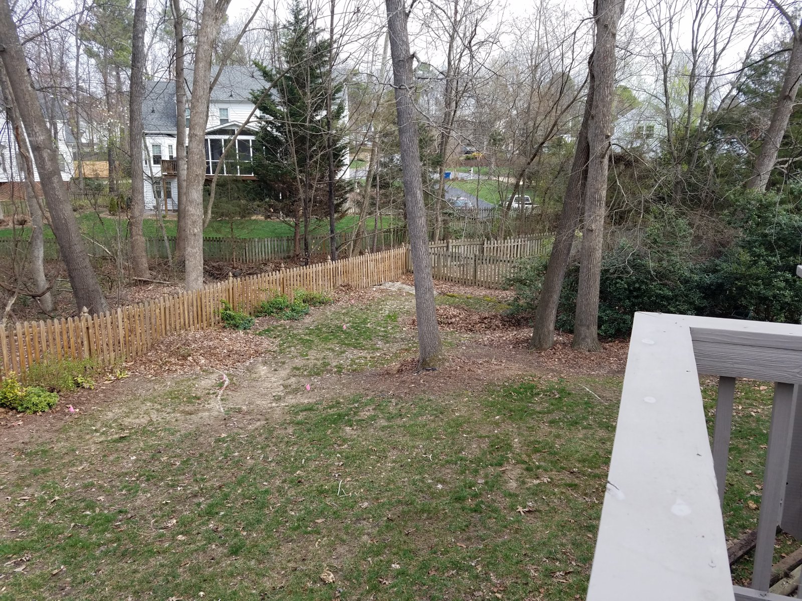 Before : Before/After : Richmond VA Landscape Designer: Gardens by Monit, LLC: Monit Rosendale landscape designer Richmond and Charlottesville Virginia and Fredericksburg Virginia and Williamsburg Virginia