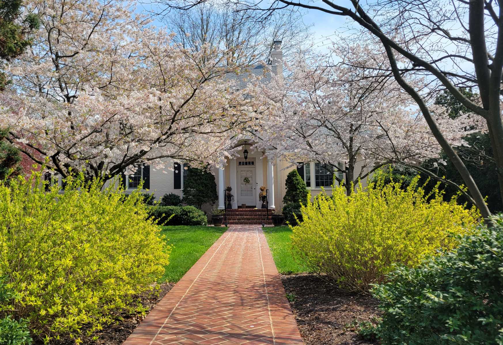  : Foundations : Richmond VA Landscape Designer: Gardens by Monit, LLC: Monit Rosendale landscape designer Richmond and Charlottesville Virginia and Fredericksburg Virginia and Williamsburg Virginia
