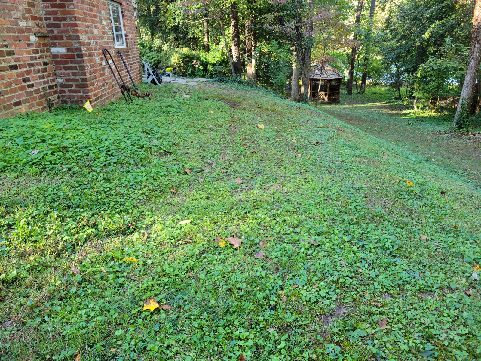  : Before/After : Richmond VA Landscape Designer: Gardens by Monit, LLC: Monit Rosendale landscape designer Richmond and Charlottesville Virginia and Fredericksburg Virginia and Williamsburg Virginia