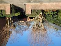 Church Memorial Garden Before