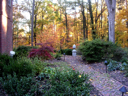 Side gardens are important connectors between spaces. : Autumn : Richmond VA Landscape Designer: Gardens by Monit, LLC: Monit Rosendale landscape designer Richmond and Charlottesville Virginia and Fredericksburg Virginia and Williamsburg Virginia