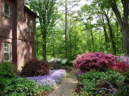 Every space around the house is a possible garden.