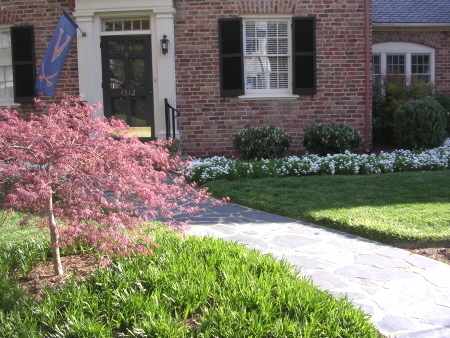 Restraint in the garden can create quiet calm.