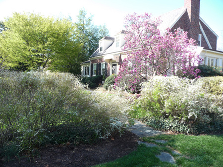 Plants that bloom at the same time make spring glorious.