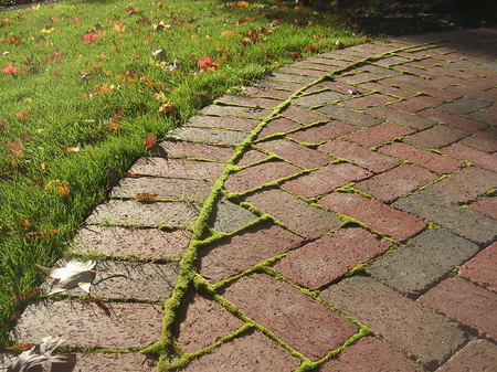 Grass seeding time! September to mid-October.